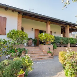 Ulivi Padenghe sul Garda
